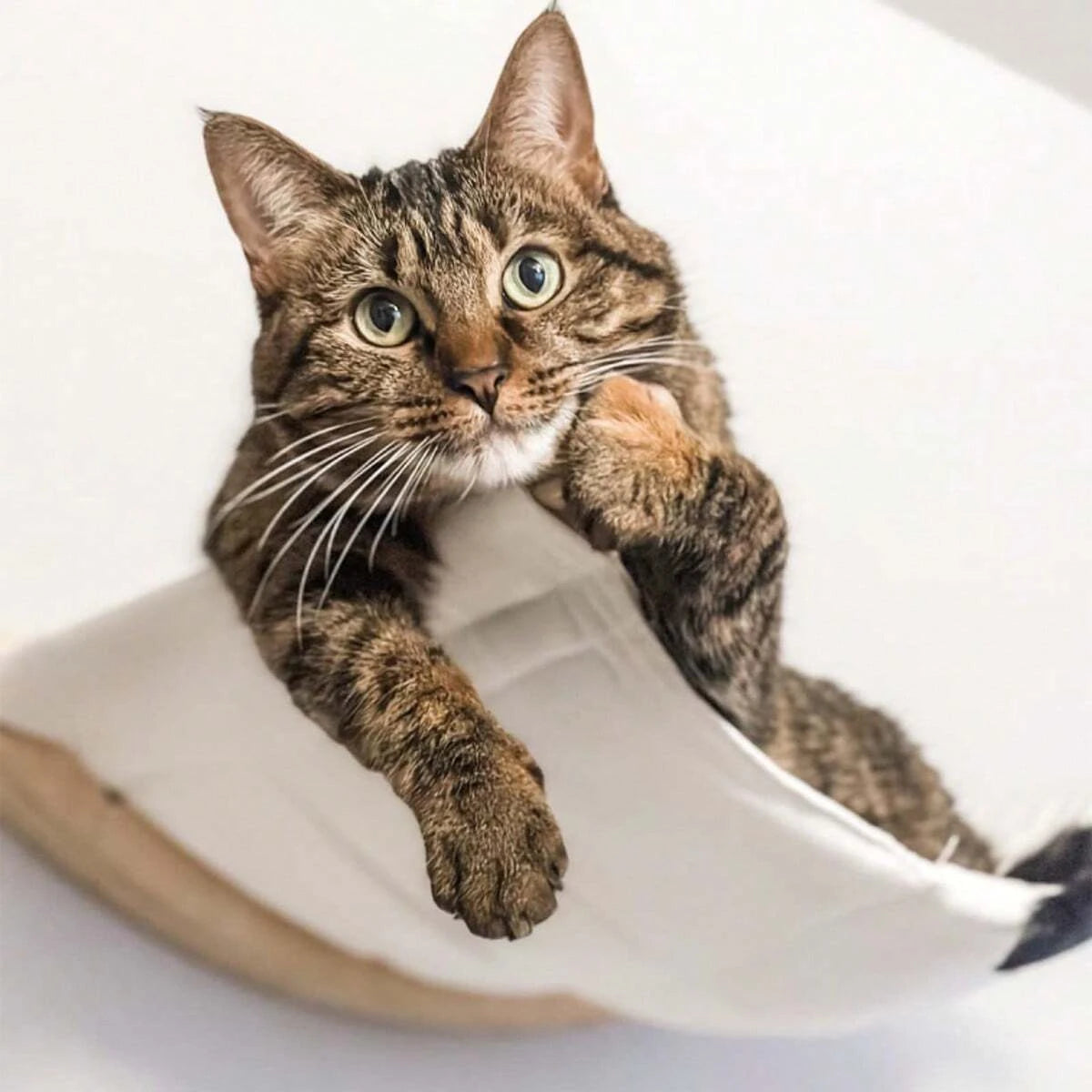 väggmonterad katthammock i trä mysig vila lek på höjd