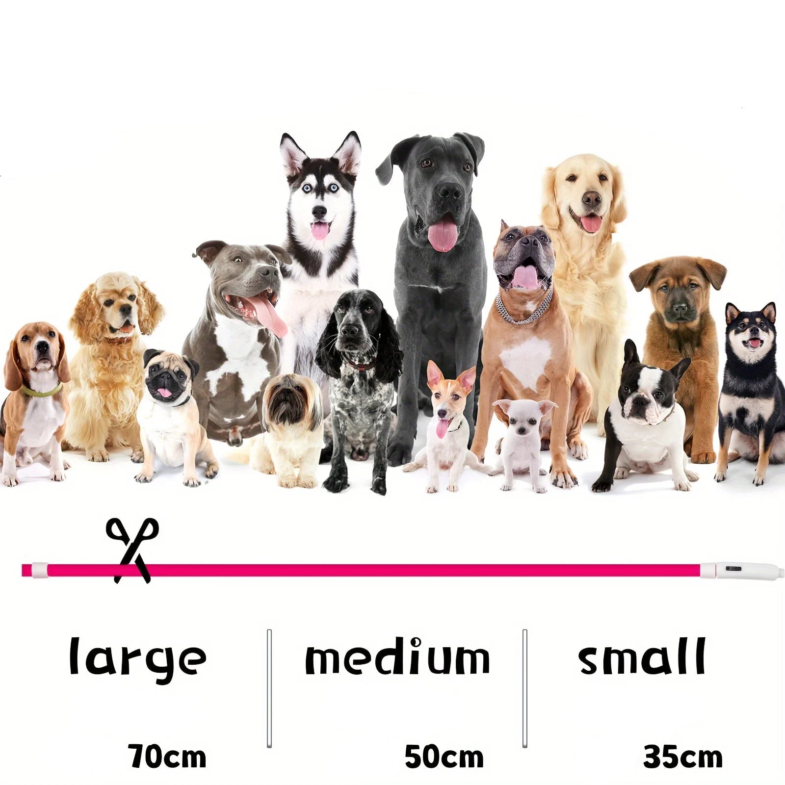 LED Hundhalsband med USB-laddning – Synlighet & Säkerhet i Mörker