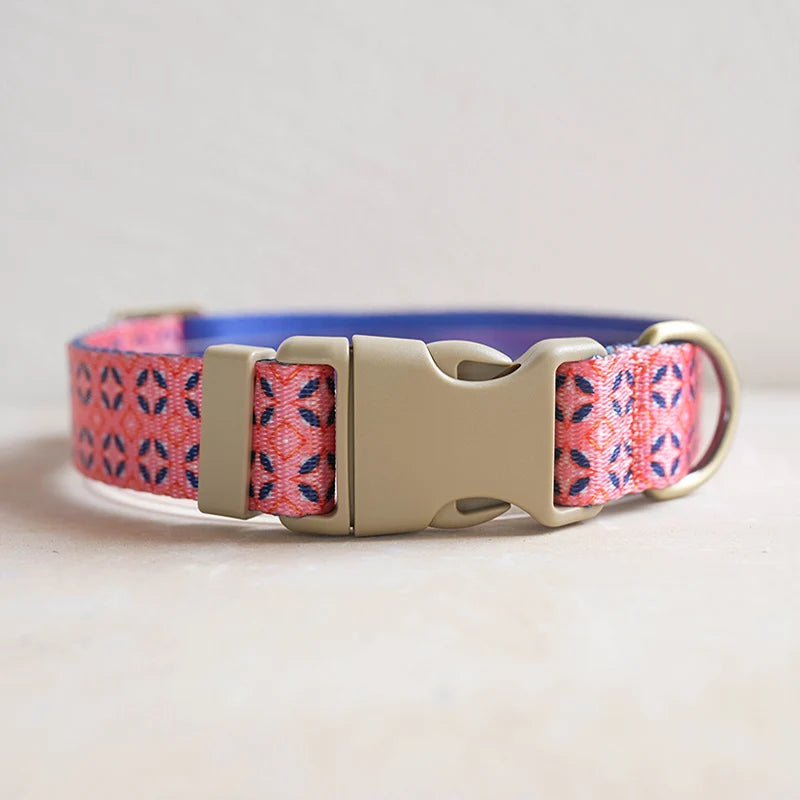 Hundhalsband i Nylon – Justerbart och Slitstarkt