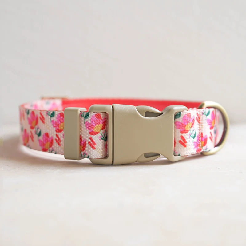 Hundhalsband i Nylon – Justerbart och Slitstarkt