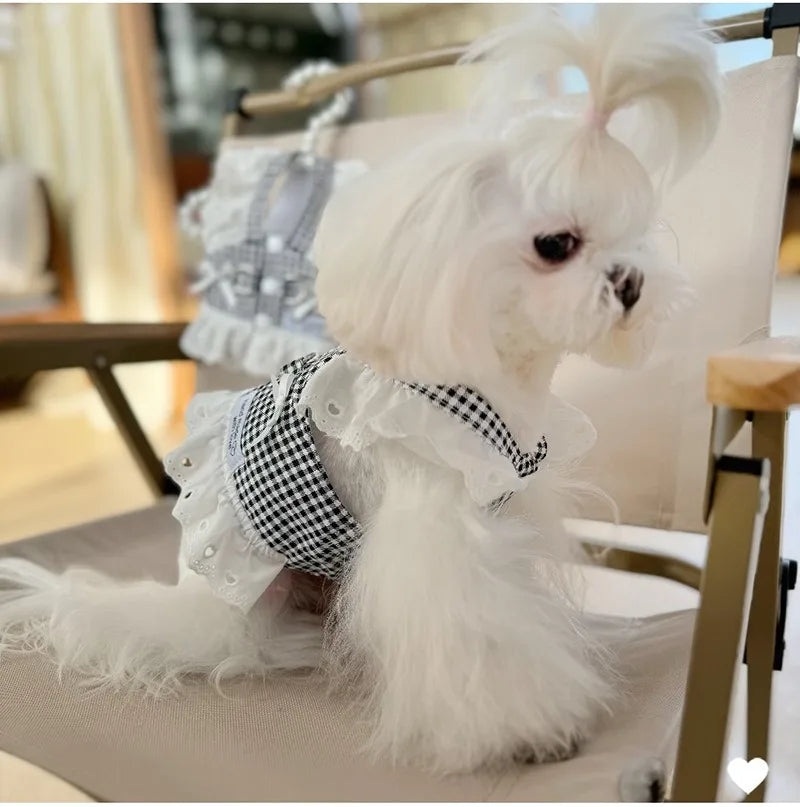 Svart Rutig Retro Hundklänning med Sele och Spets