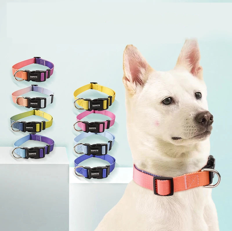 Färgglatt Hundkoppel & Halsband – Justerbart Nylonsset