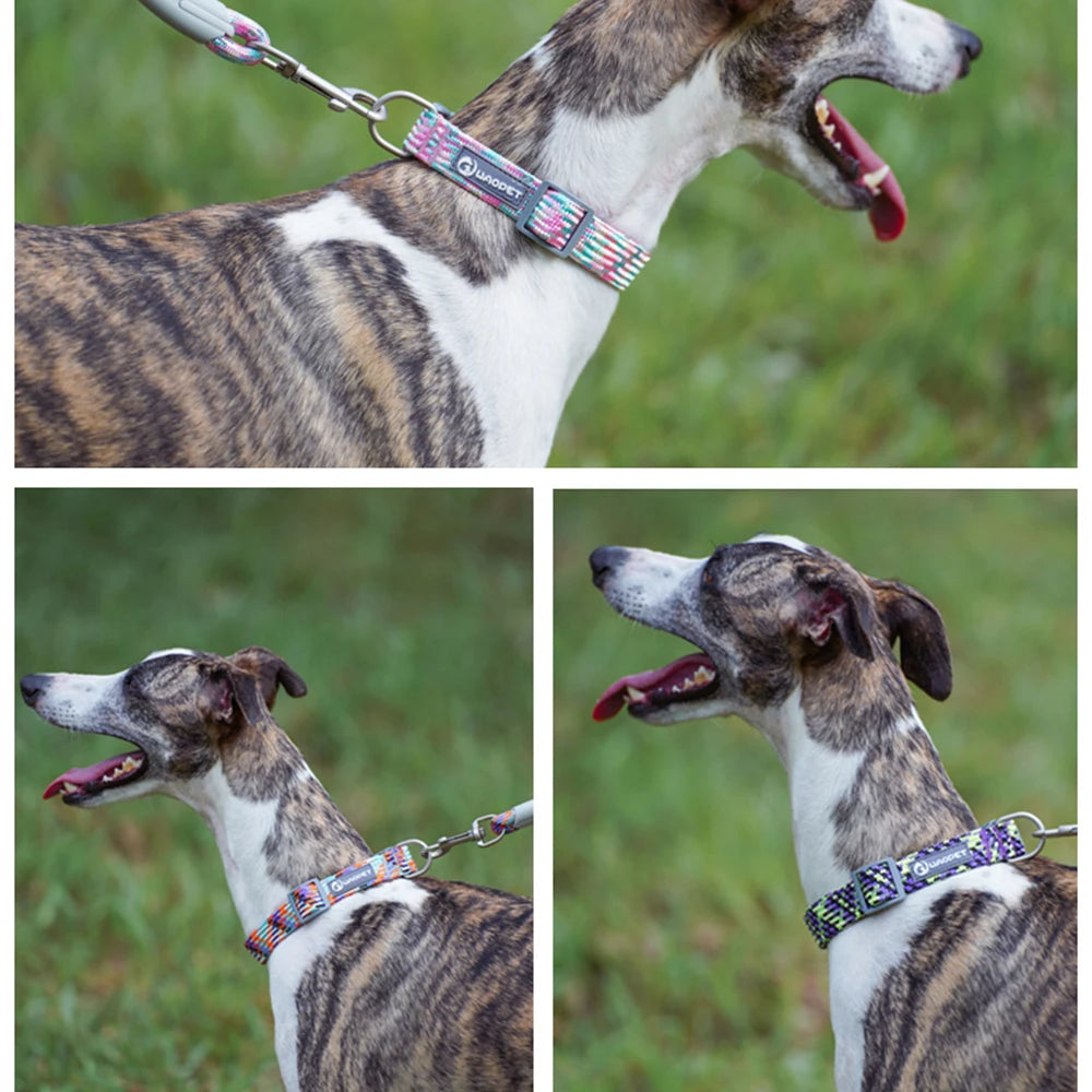 Justerbart Reflekterande Flätat Hundhalsband i Slitstark Nylon - för Medelstora till Stora Hundar