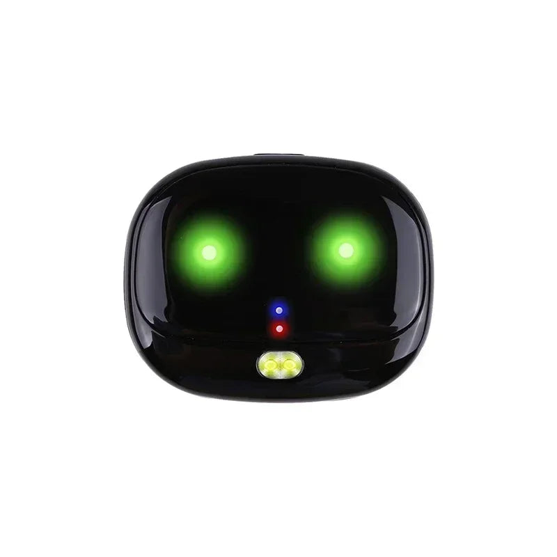 4g GPS-Spårare för Hund och Katt – Vattentät med LED-Ljus & Realtidsspårning