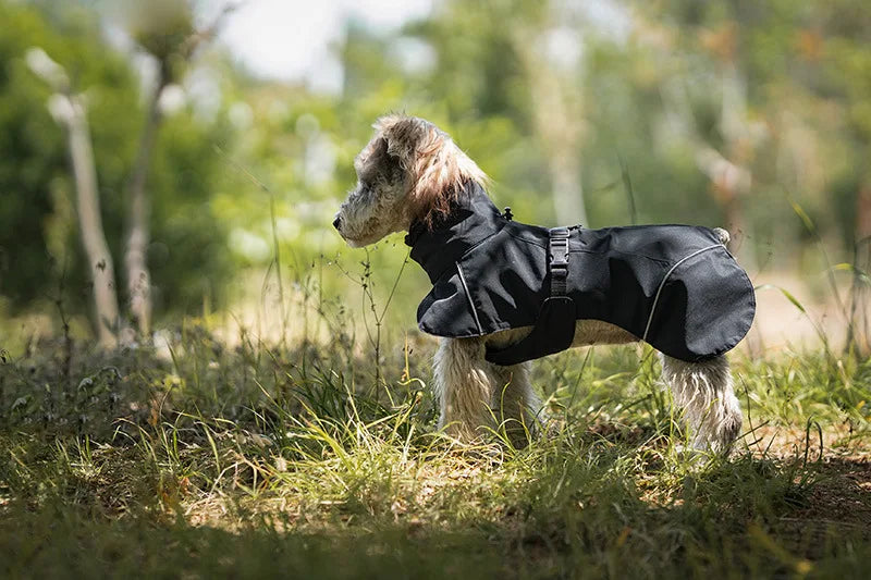 Vattentätt Regnskydd för Små Hundar – Reflex och Huva