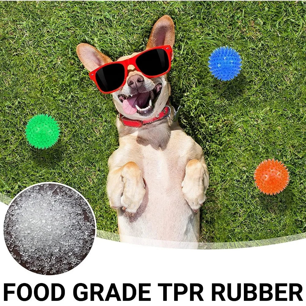 tuggleksak hund färgglad boll ljud tandrensning