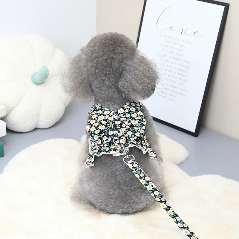 Sommarklänning för Hund och Katt med Sele och Matchande Koppel