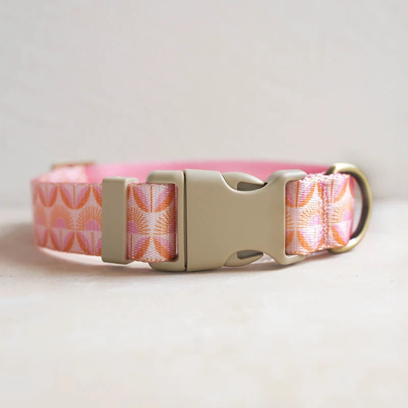 Hundhalsband i Nylon – Justerbart och Slitstarkt