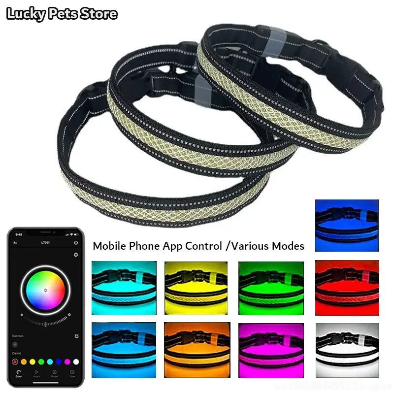 LED Hundhalsband med Appstyrning – Musikrytm, RGB-färger och USB-uppladdning