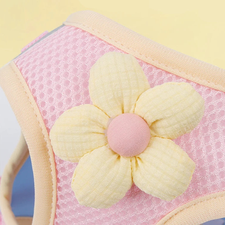 Andasvänlig Hund- och Kattssele med Reflex – Justerbar Meshväst med Koppel för Små och Medelstora Djur