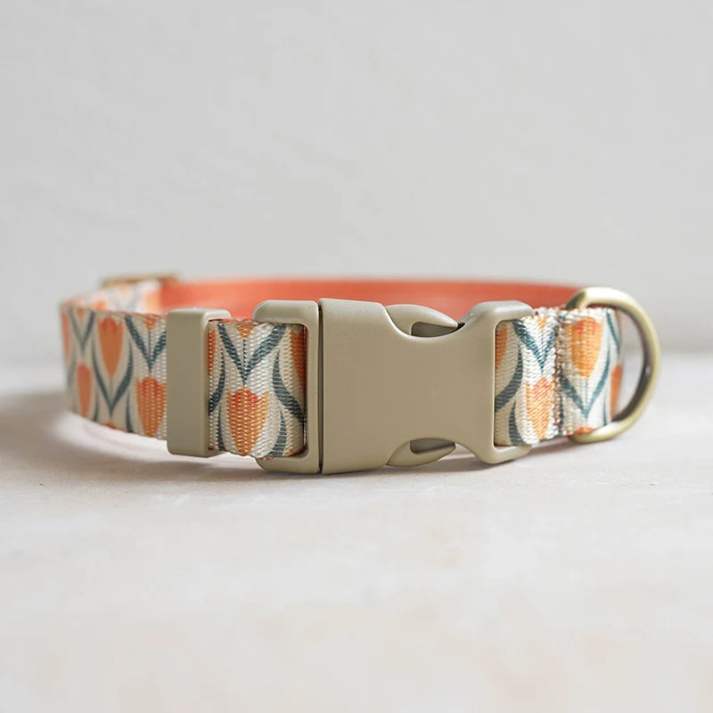 Hundhalsband i Nylon – Justerbart och Slitstarkt