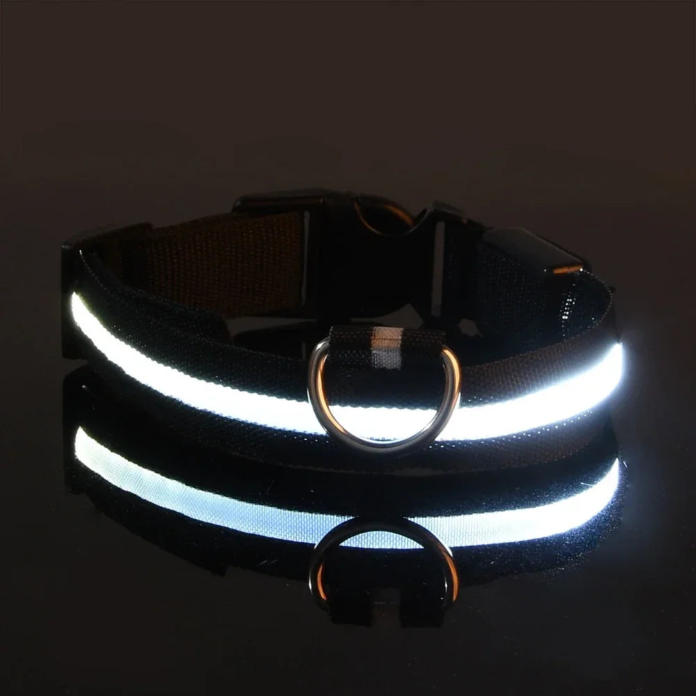 LED Dog Collar – Luminous Nylon Night Safety Collar for Pets