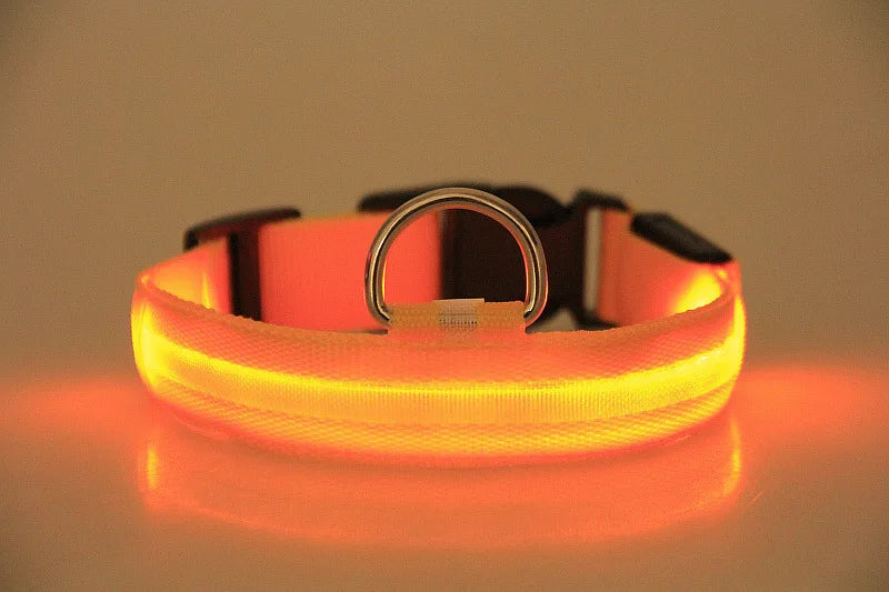 LED Dog Collar – Luminous Nylon Night Safety Collar for Pets