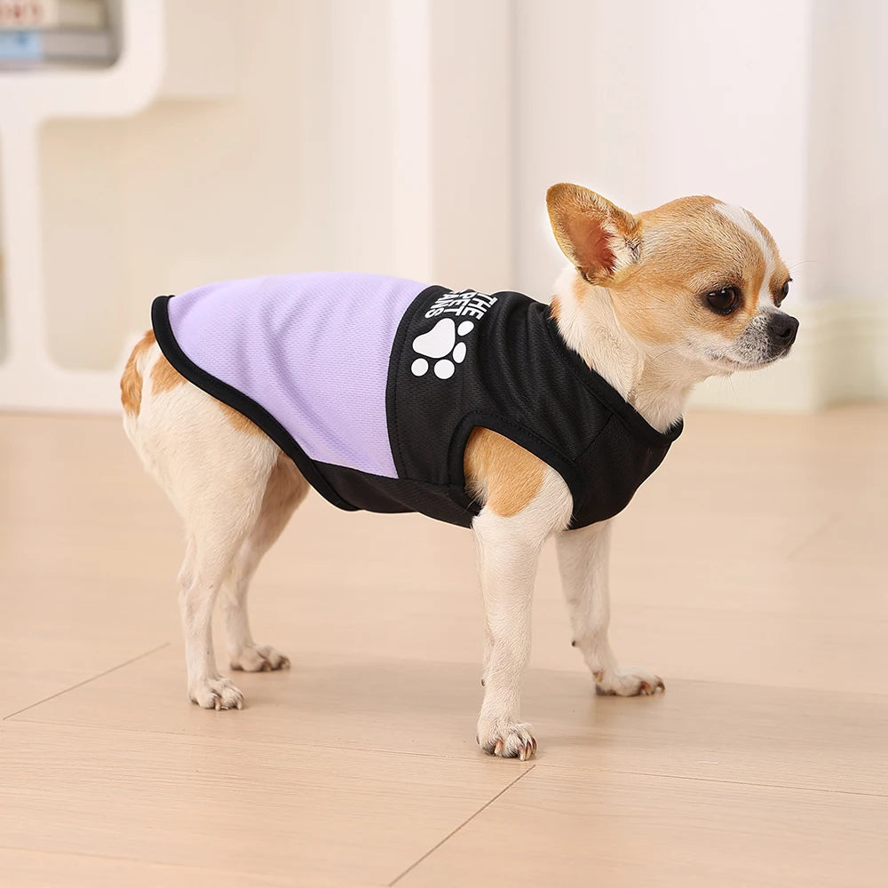 UV-Skyddande Sommartröja för Hund och Katt – Andningsbar T-shirt med Tassmönster