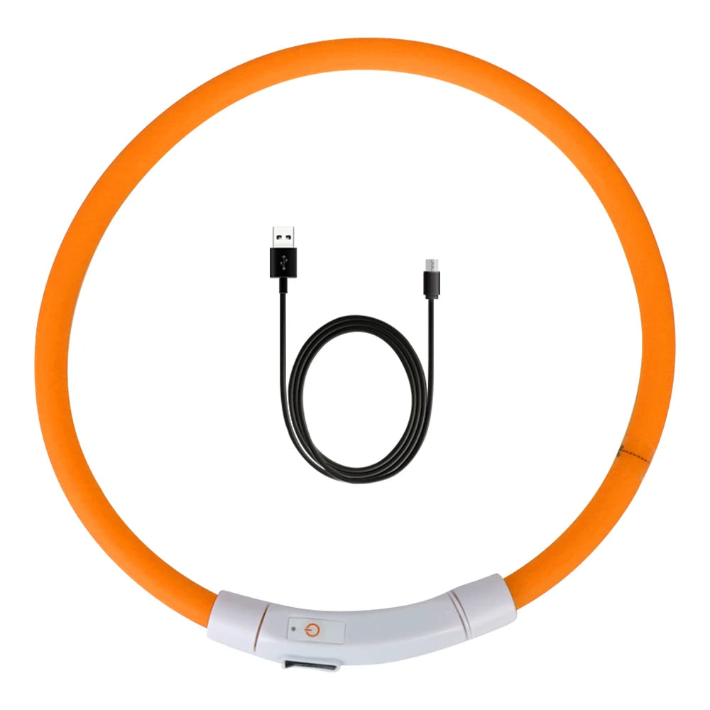 led hundhalsband usb laddning säkerhet synlighet mörker