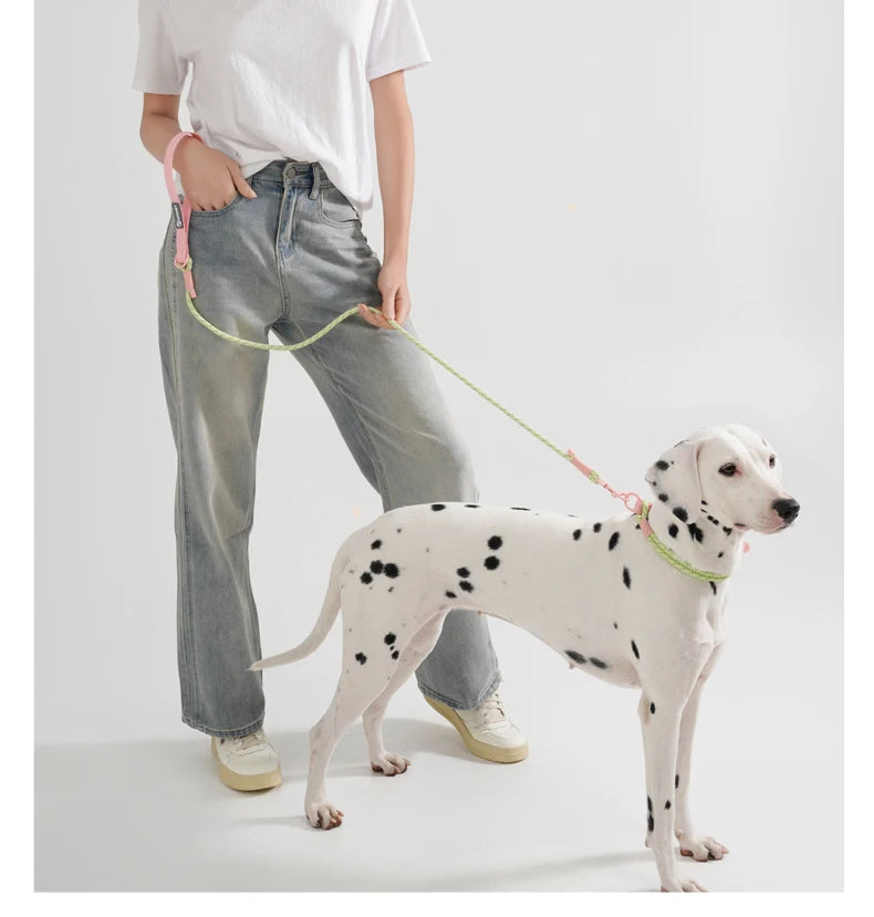 Snyggt och Vattentåligt Hundhalsband i Candy-Stil – Reflekterande och Handgjort