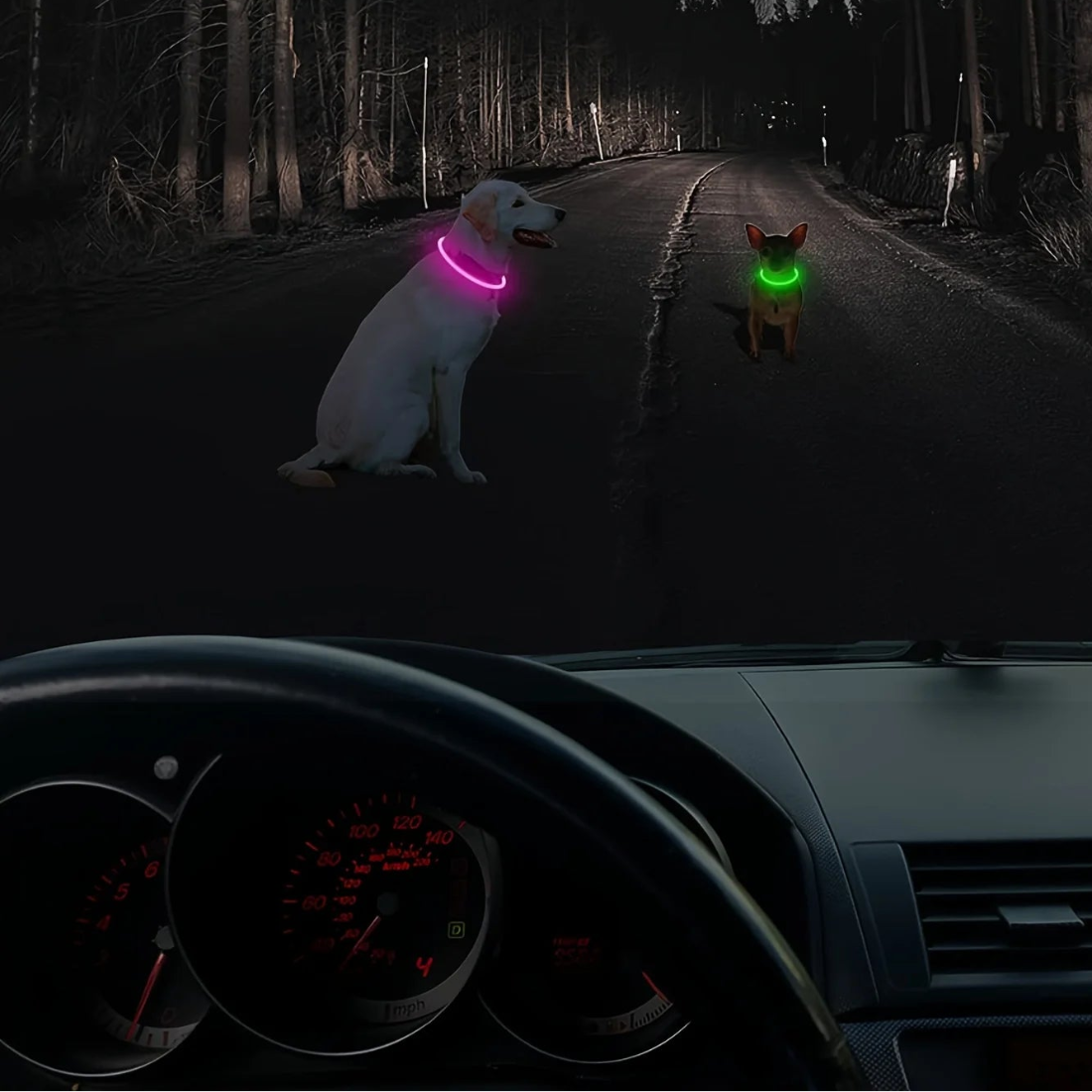 LED Hundhalsband med USB-laddning – Synlighet & Säkerhet i Mörker
