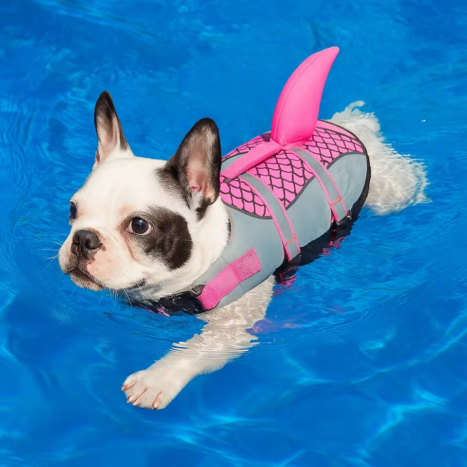 Hundflytväst Hajdesign med Handtag och Reflex för Simning och Båt