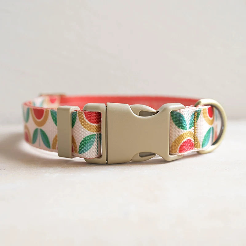 Hundhalsband i Nylon – Justerbart och Slitstarkt