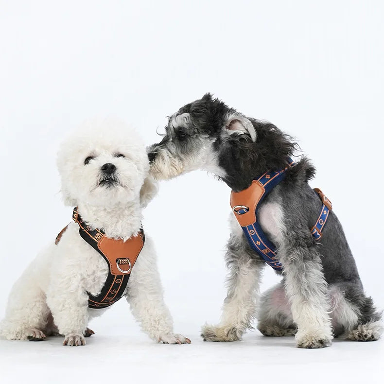 Bekväm och Säker Nylonsele med Reflektion – Perfekt Passform för Små och Medelstora Hundar Året Runt