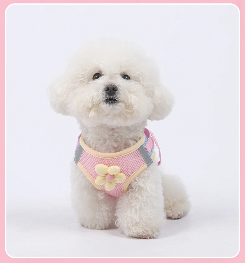 Andasvänlig Hund- och Kattssele med Reflex – Justerbar Meshväst med Koppel för Små och Medelstora Djur