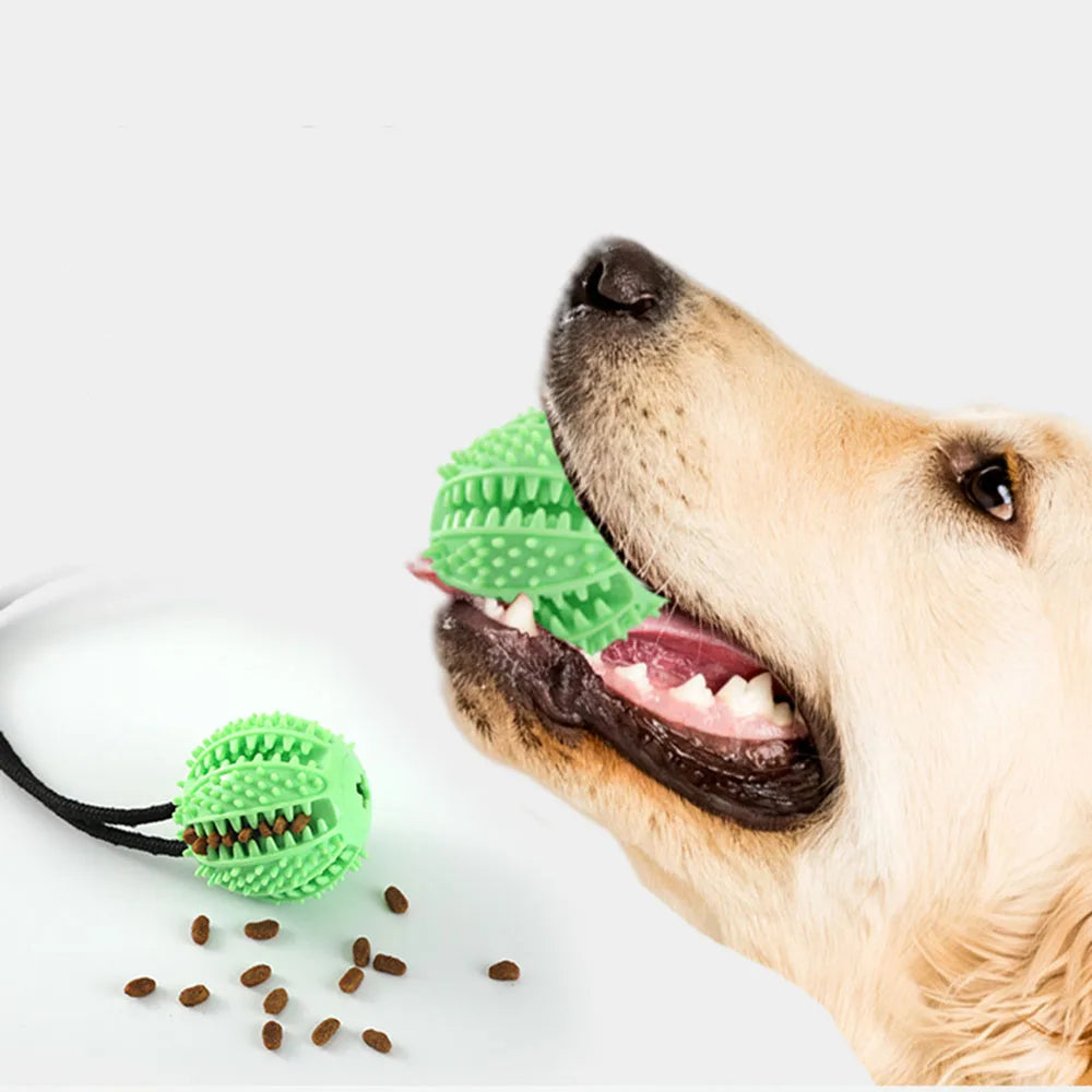 Tuggleksak med Sugpropp och Boll för Stora Hundar – Slitstark Slow Feeder