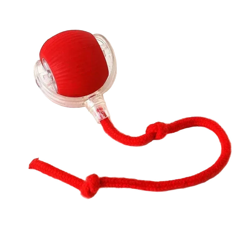 Interaktiv Smart Boll till Hund & Katt med Rullfunktion