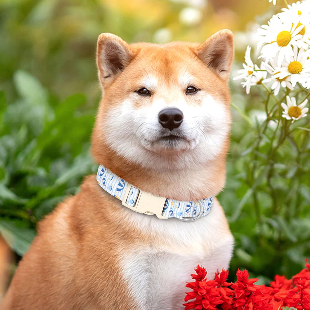 Hundhalsband i Nylon – Justerbart med Dekorativt Tryck