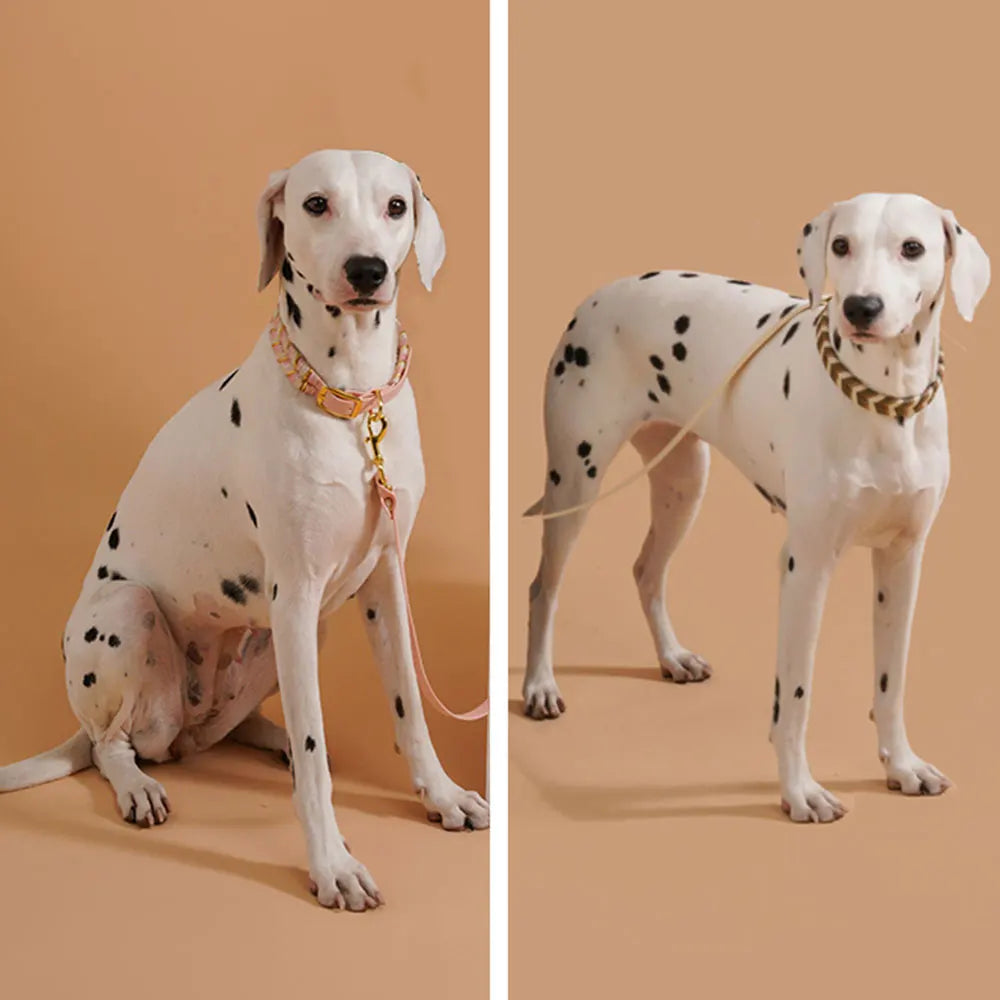 Exklusivt Handvävt Hundhalsband – Färgstark, Stilren & Justerbar Design