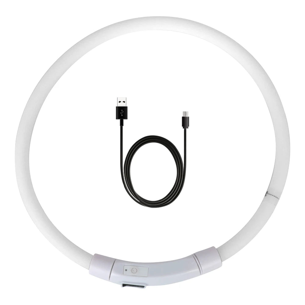 led hundhalsband usb laddning säkerhet synlighet mörker