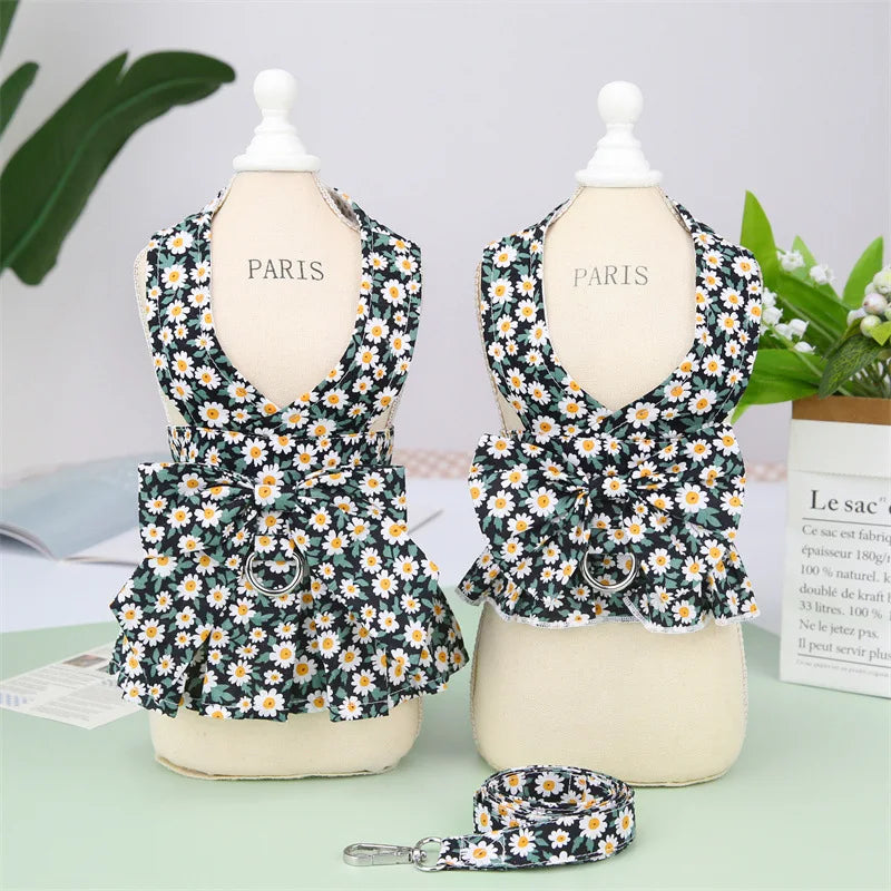 Sommarklänning för Hund och Katt med Sele och Matchande Koppel