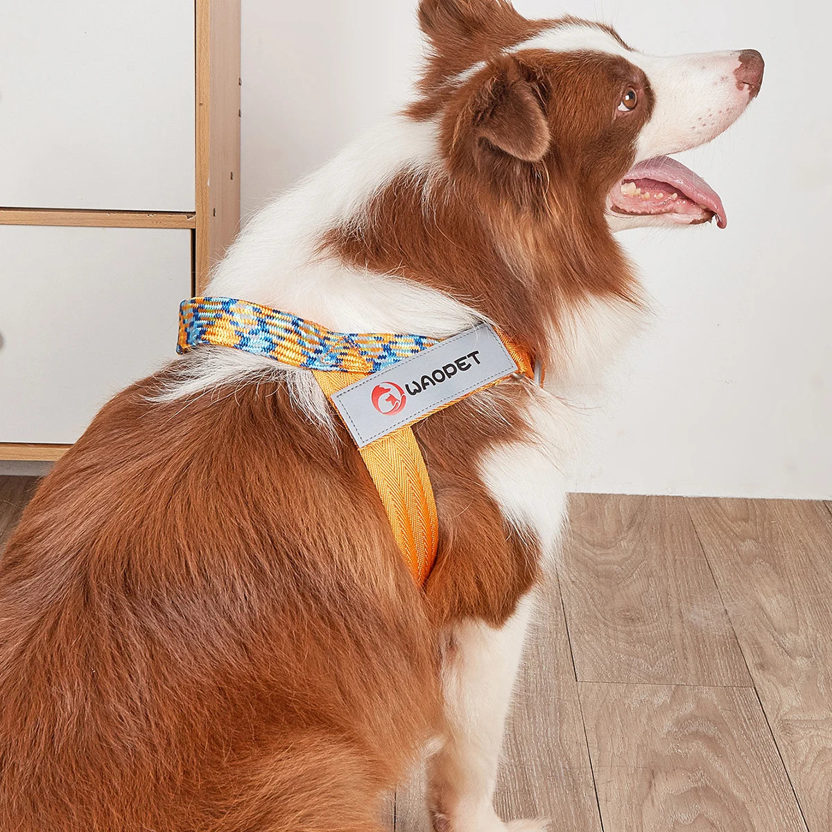 Reflekterande Hundsele i Slitstark Nylon – Jämnt Fördelat Tryck över Bröstet