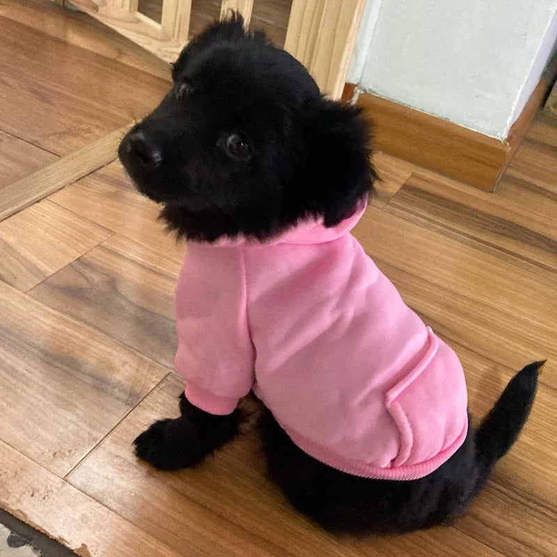 Varm Vinterhoodie för Hund – Mjuk Fleecejacka med Huva &amp; Ficka för Små till Medelstora Raser