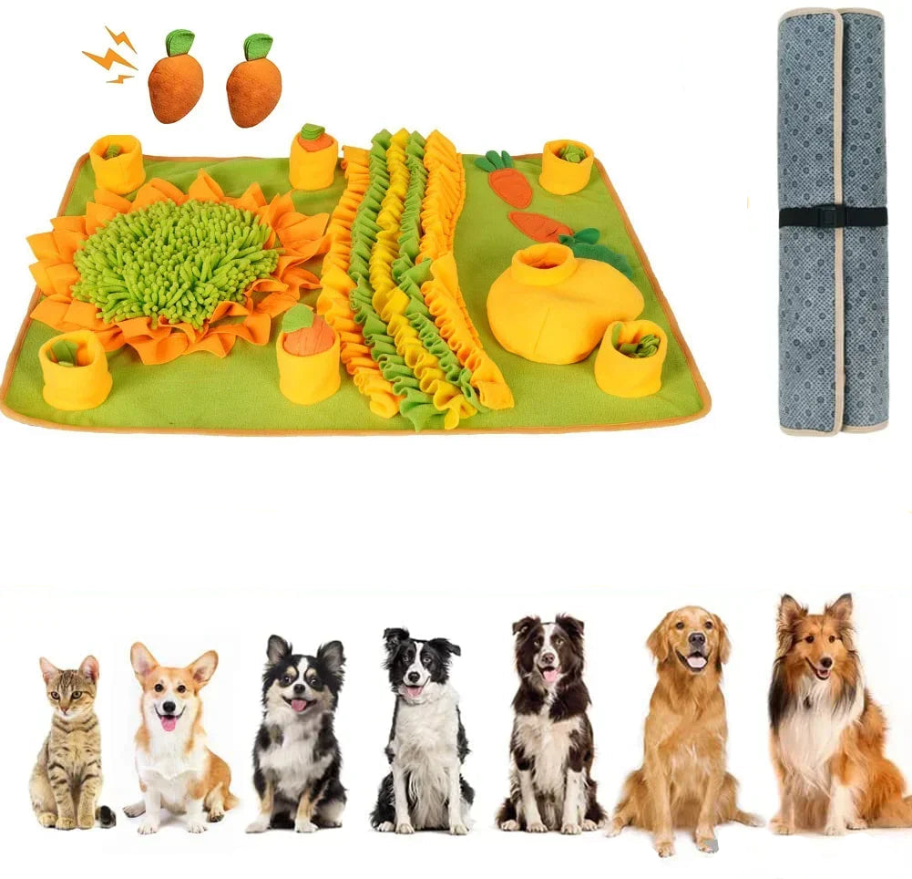 Interaktiv Doftmatta för Hund – Mental Stimulans, Stressreducering & Slow Feeder i Ett