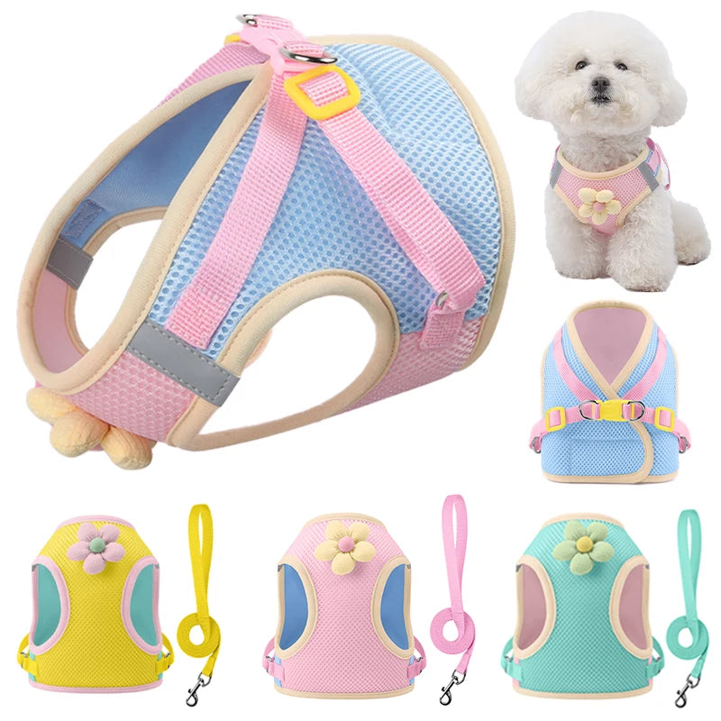 Andasvänlig Hund- och Kattssele med Reflex – Justerbar Meshväst med Koppel för Små och Medelstora Djur