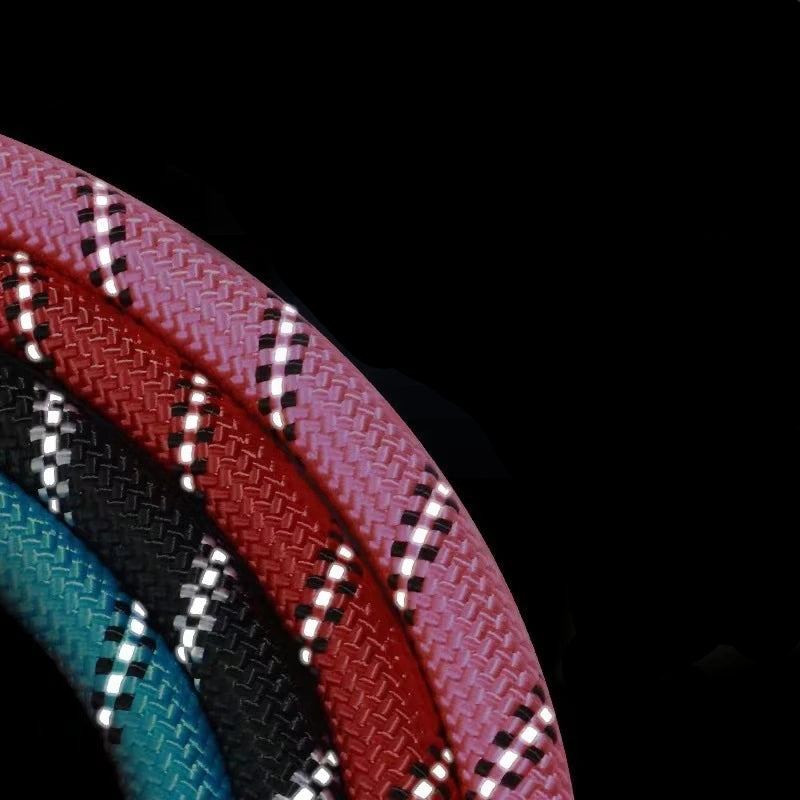 Förstärkt Nylonkoppel med Reflex – Slitstarkt & Bekvämt Hundkoppel i 4 Längder