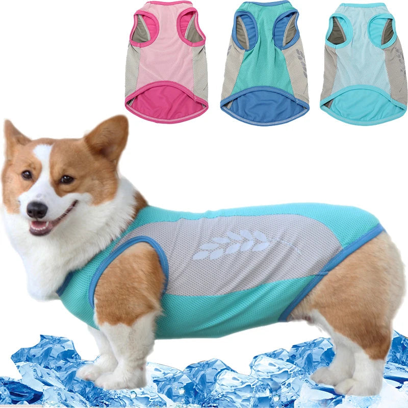 Sommarkylväst för Hund med Reflex och Snabbtorkande Tyg