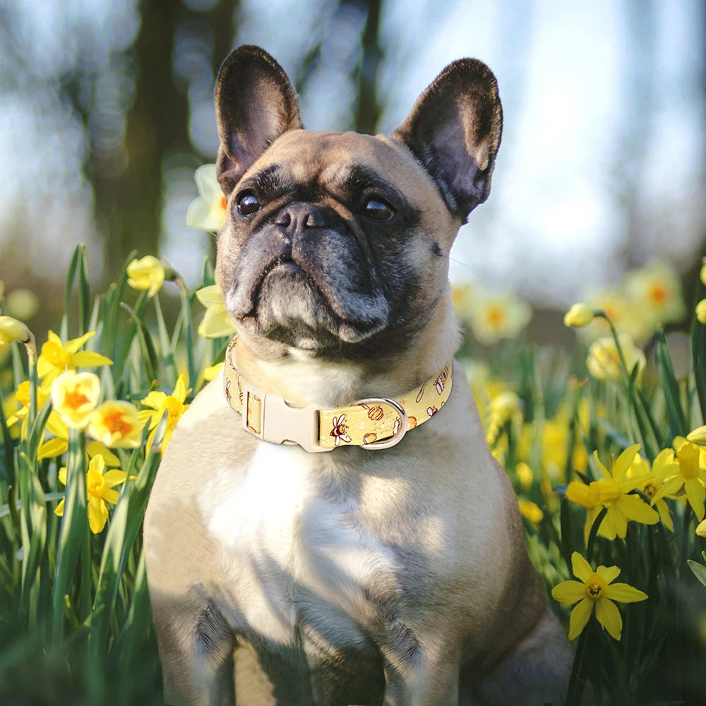 Hundhalsband i Nylon – Justerbart med Dekorativt Tryck