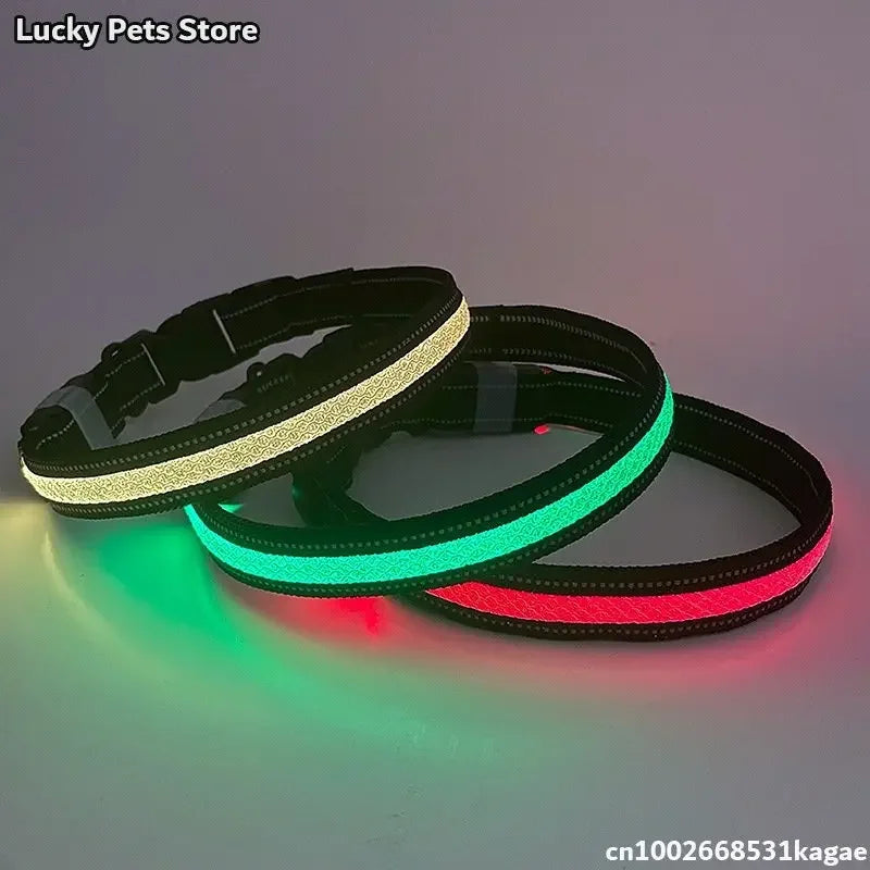 LED Hundhalsband med Appstyrning – Musikrytm, RGB-färger och USB-uppladdning