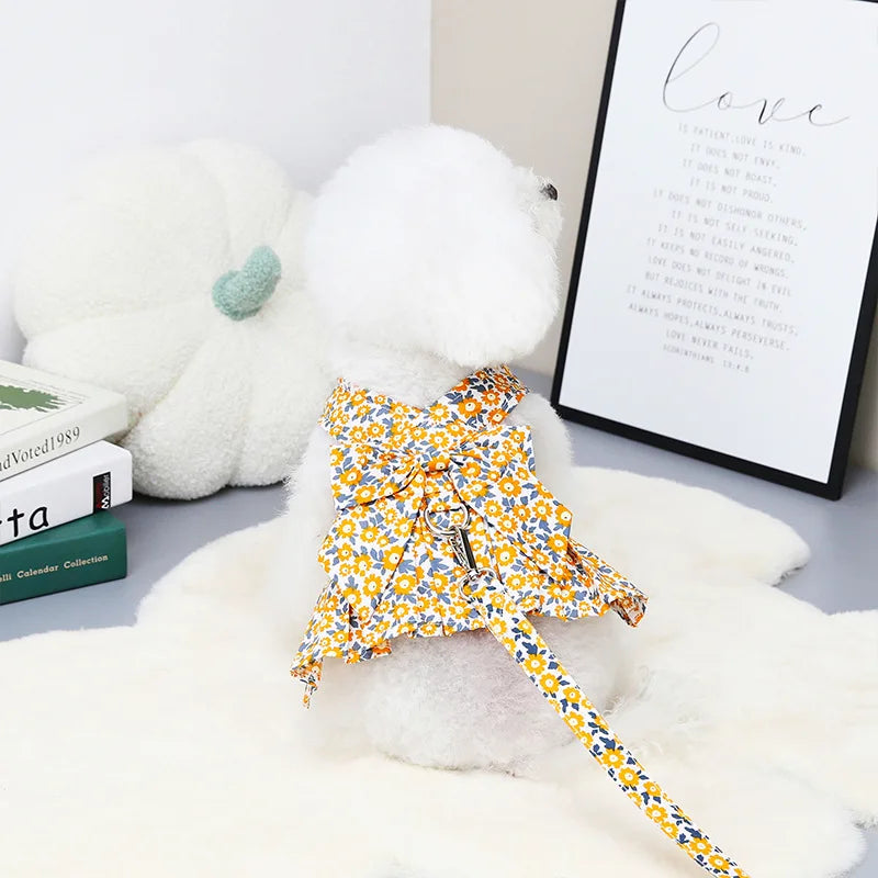 Sommarklänning för Hund och Katt med Sele och Matchande Koppel