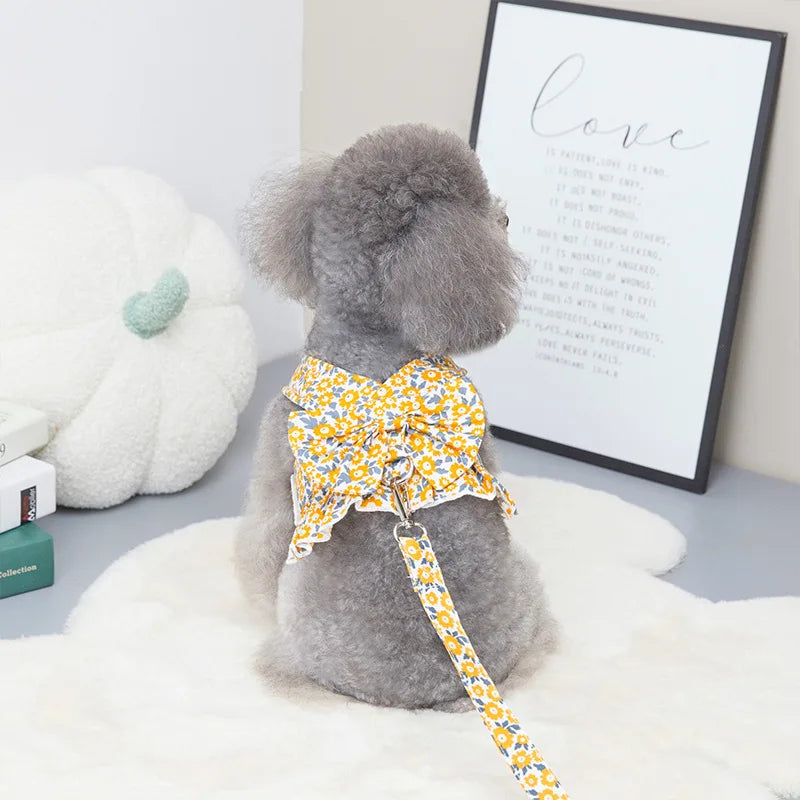 Sommarklänning för Hund och Katt med Sele och Matchande Koppel