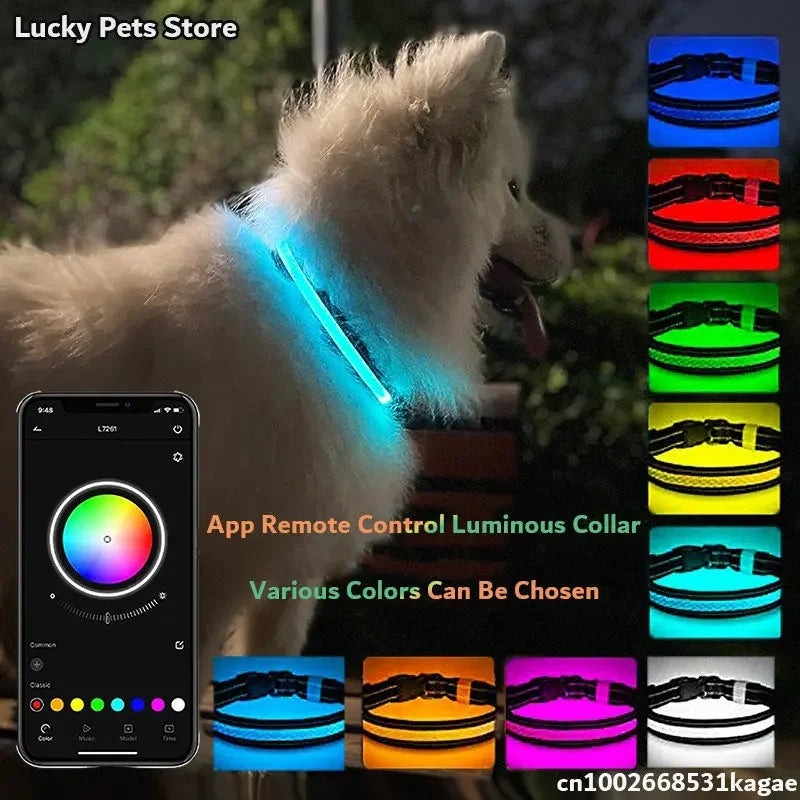 LED Hundhalsband med Appstyrning – Musikrytm, RGB-färger och USB-uppladdning