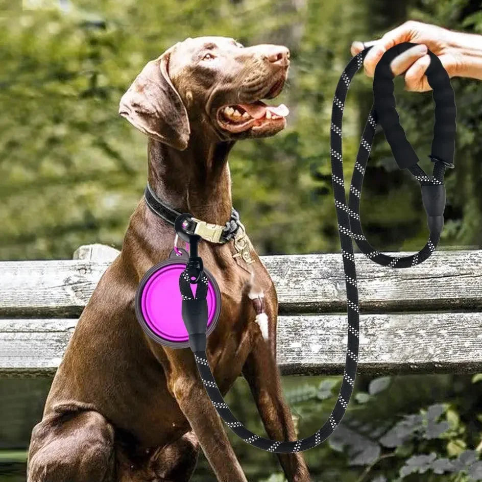 Reflekterande Nylonkoppel för Hund – Stark & Hållbar