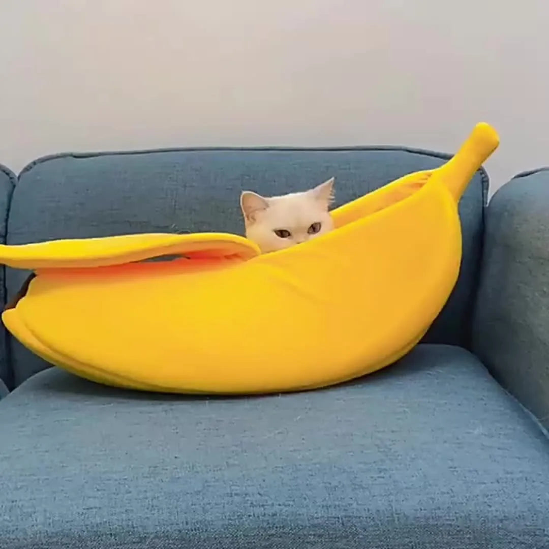 mjuk bananformad djurbädd i manchester för katt och liten hund