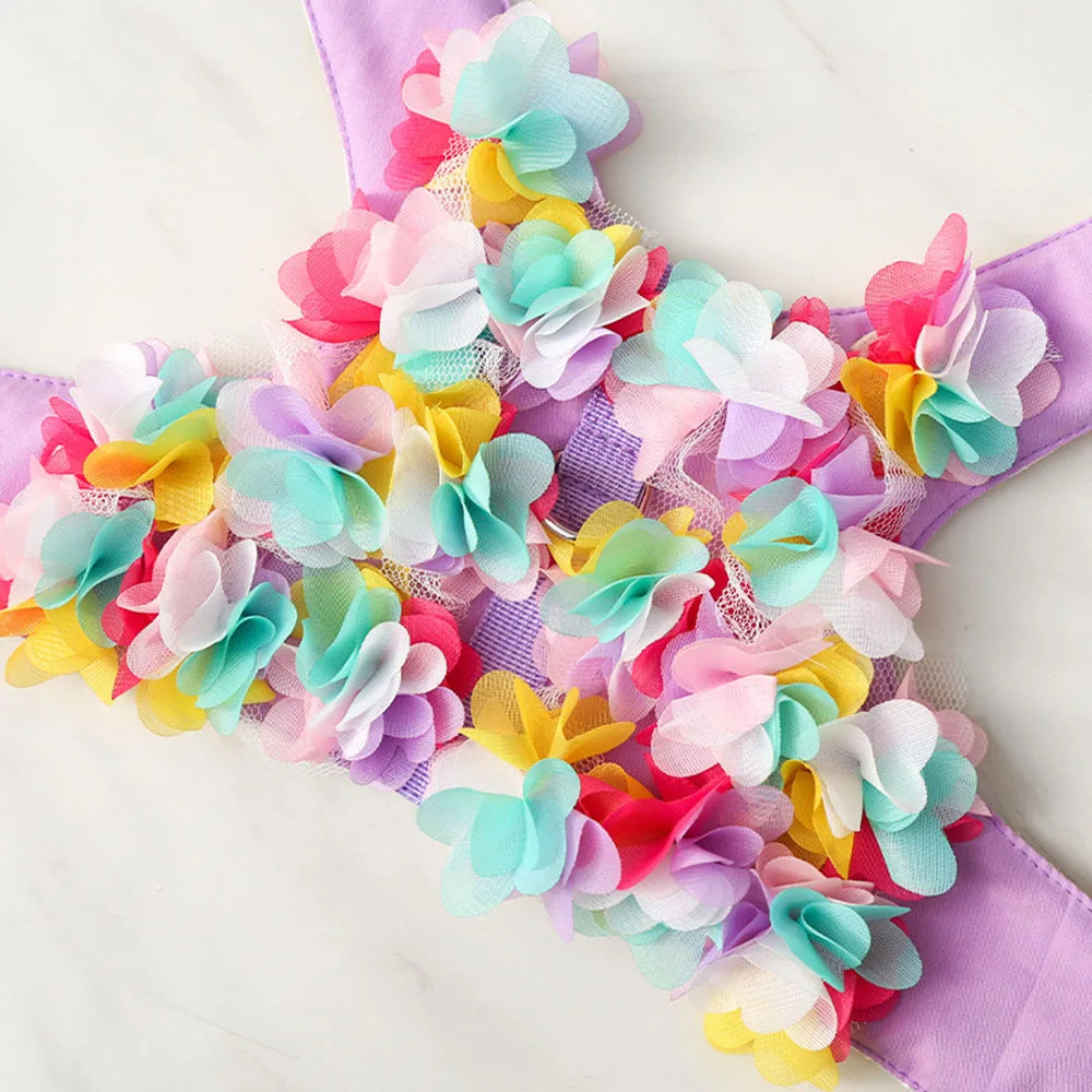 blommigt sele och koppelset för valp med vadderad mesh