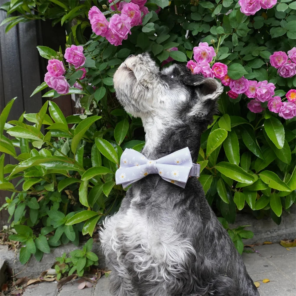 elegant handgjort hundhalsband med rosett och roséguldspänne