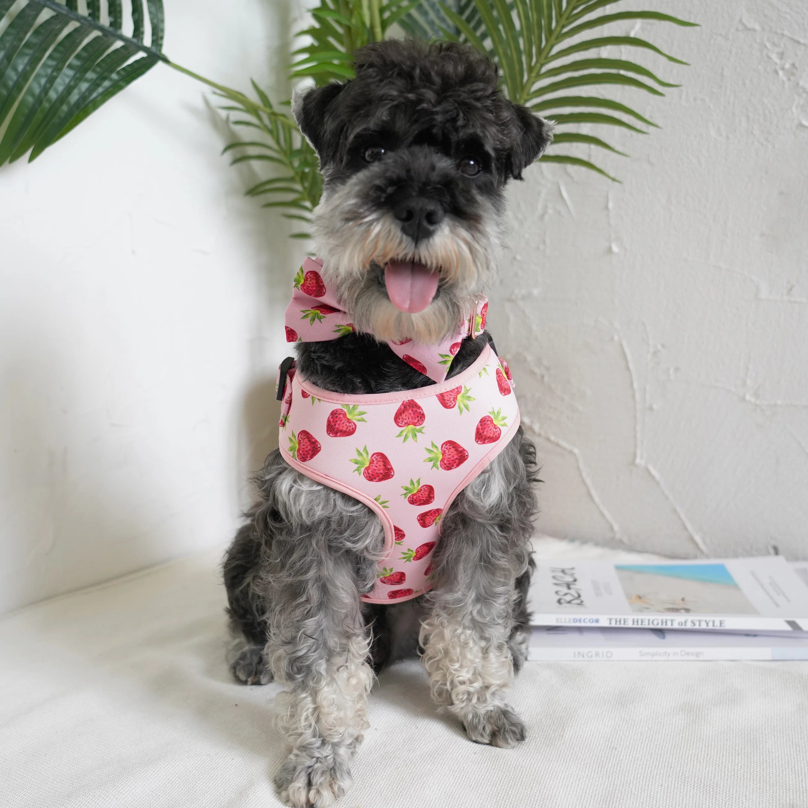 handgjort hundhalsband i bomull med avtagbar blomma och rosegulds-spänne