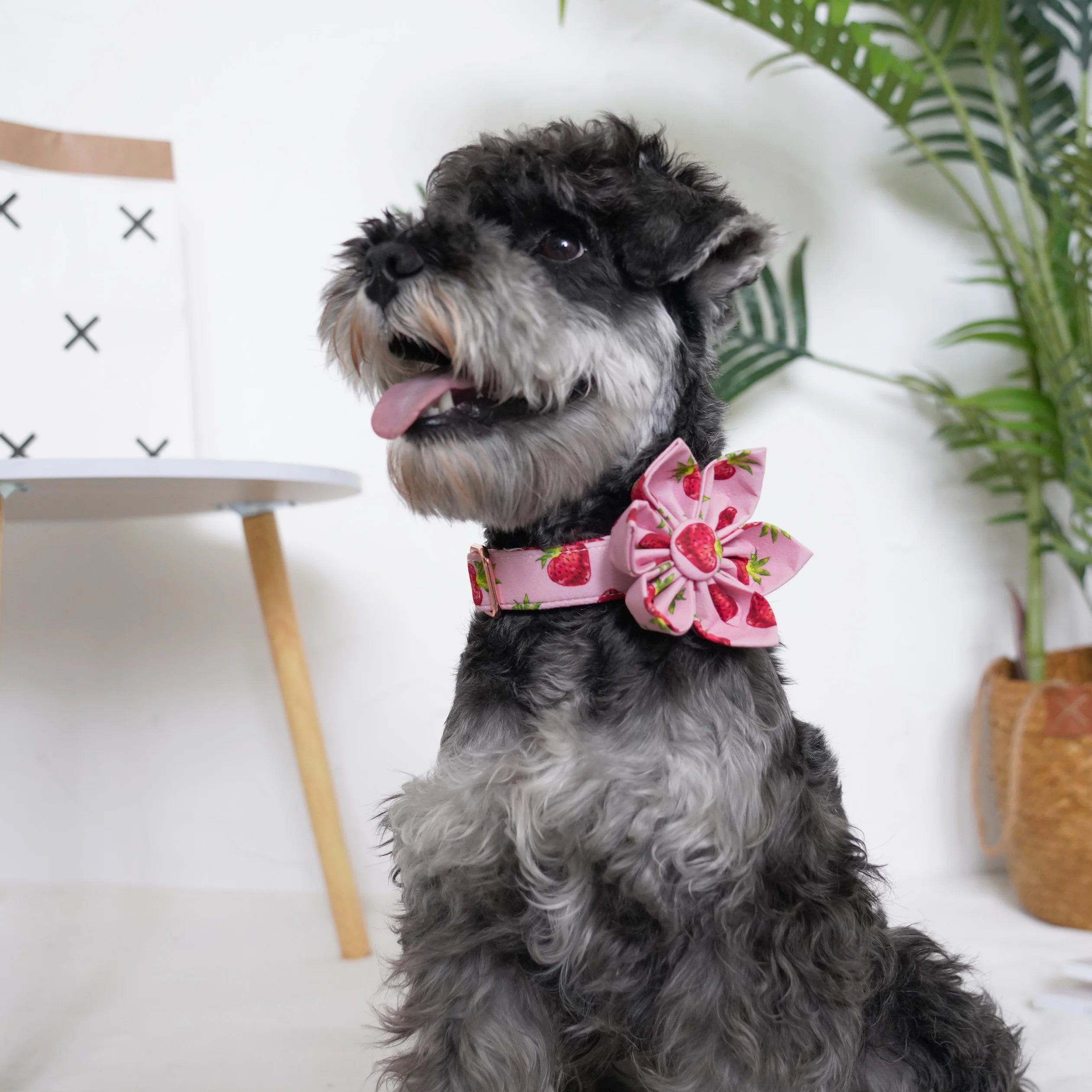 handgjort hundhalsband i bomull med avtagbar blomma och rosegulds-spänne