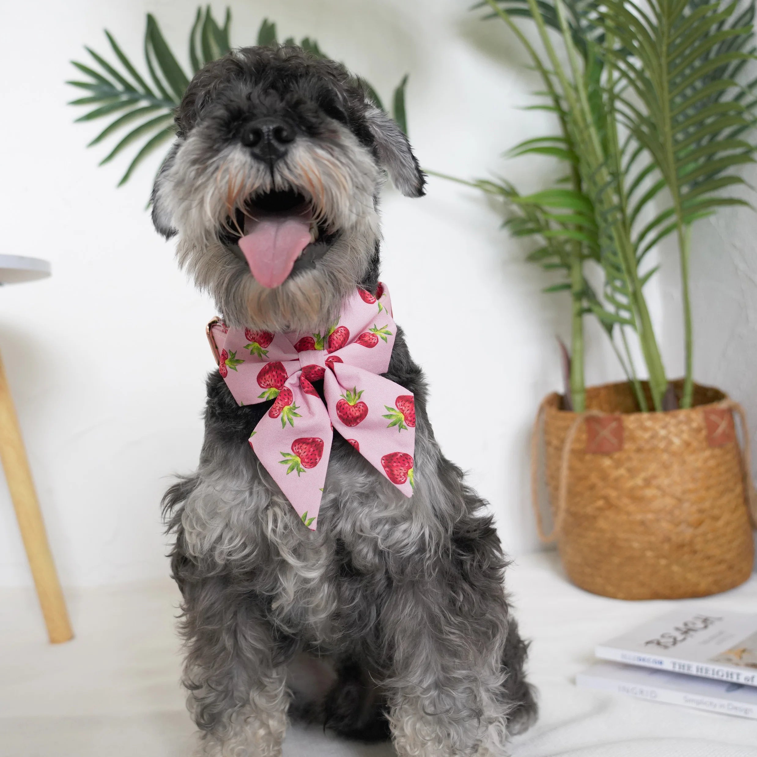handgjort hundhalsband i bomull med avtagbar blomma och rosegulds-spänne
