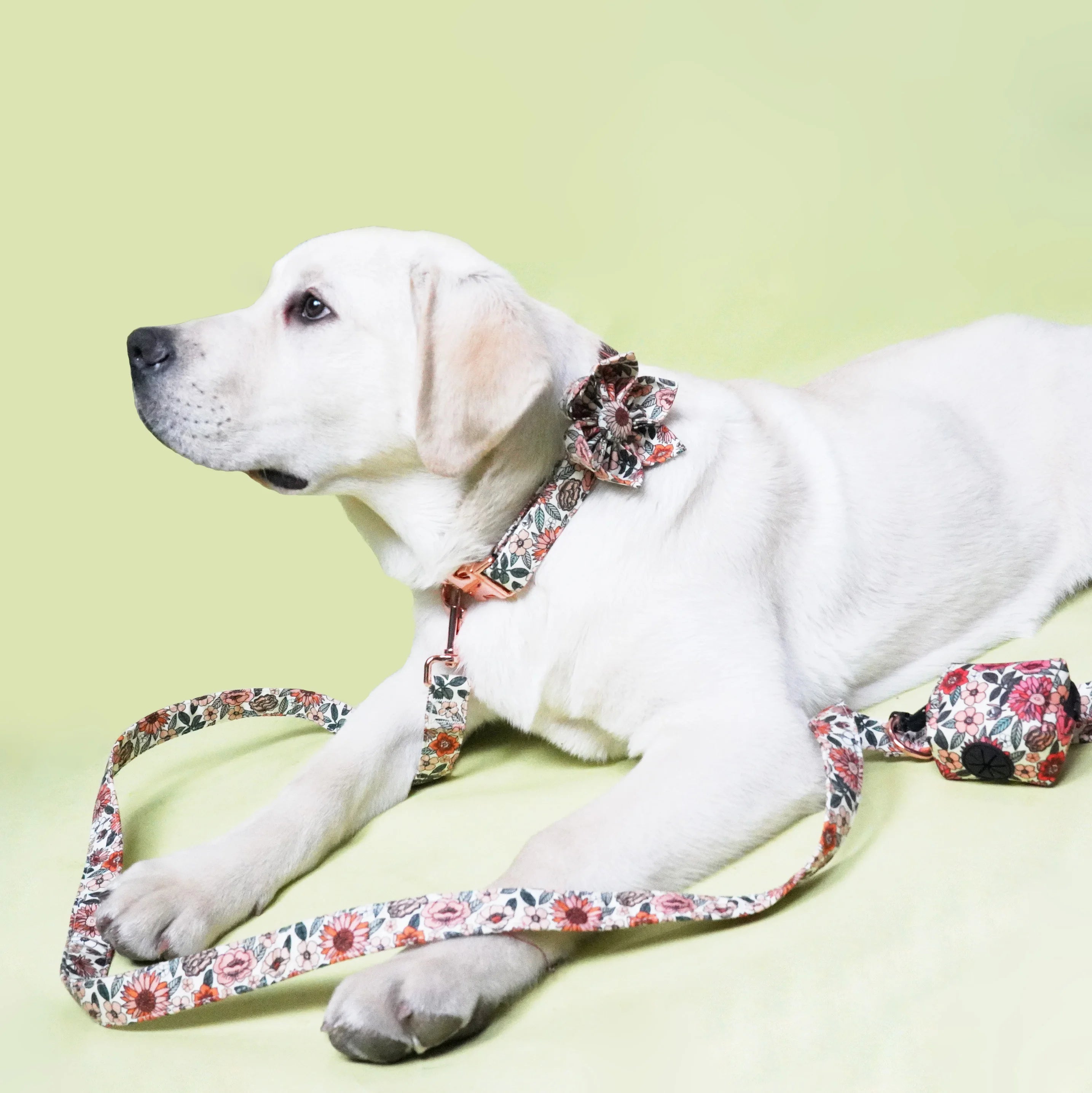 handgjort hundhalsband i boho blommigt mönster med avtagbar blomma